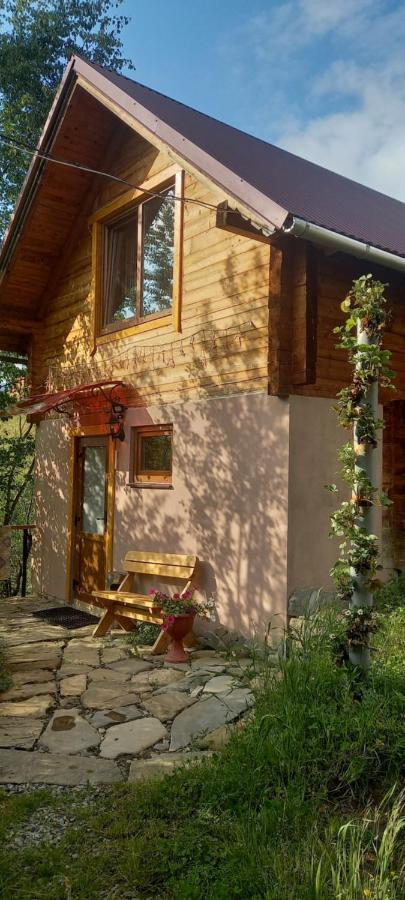 Марічка Marichka Villa Vorokhta Exterior photo